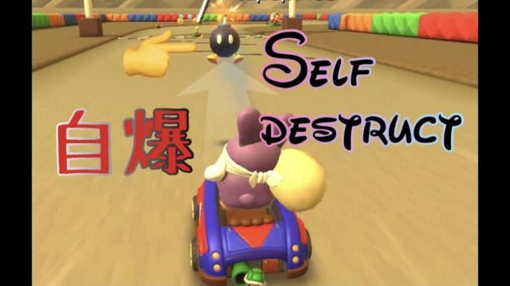 自爆　Self destruct 小学生(風)のゲーム実況　マリオカートツアー　MARIOKARTTOUR