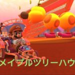 マリオカートツアー　WiiメイプルツリーハウスX　フルコンボ　Mario Kart Tour　Wii Maple Treeway T
