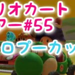 マリオカートツアー【チョロプーカップ】Mario Kart Tour#55