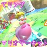 マリオカートツアー くぐってリング（3DSマリオサーキット）☆☆☆ / Mario Kart Tour – Ring Race (3DS Mario Circuit) ver.3