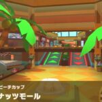 【マリオカートツアー】ピンクゴールドピーチカップ 〜Wii ココナッツモール〜