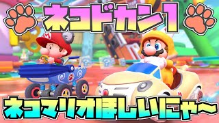 【ネコツアー】新キャラ！ネコマリオ 引けるか！？【マリオカートツアー】ガチャ【ネコドカン①】ユアママ 10連【無課金】ゲーム実況