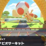 【マリオカートツアー】ハンマーブロスカップ 〜3DS キノピオサーキット〜