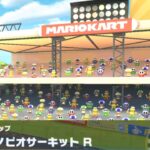 【マリオカートツアー】アイスブロスカップ 〜3DS キノピオサーキット R〜