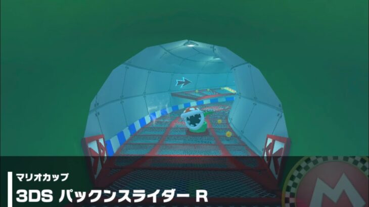 【マリオカートツアー】マリオカップ 〜3DS パックンスライダー R〜