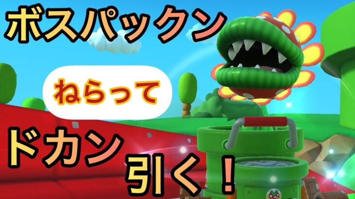 パックンの鳴き声がもはやホラー！パックンドカン 【 マリオカートツアー mariokart tour 】