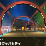 【マリオカートツアー】アイスブロスカップ 〜3DS ネオクッパシティ〜