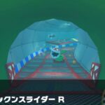 【マリオカートツアー】トッテンカップ 〜3DS パックンスライダー R〜