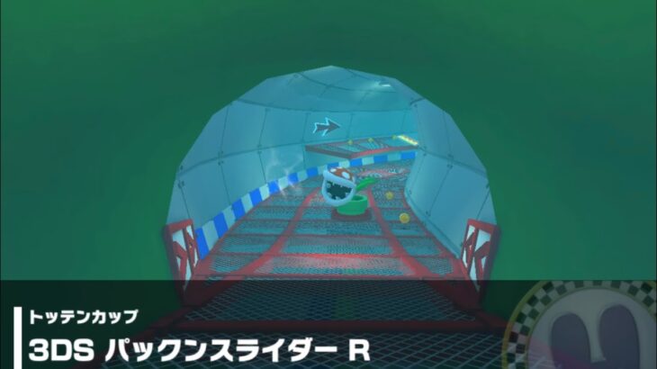 【マリオカートツアー】トッテンカップ 〜3DS パックンスライダー R〜