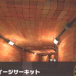 【マリオカートツアー】ラリーカップ 〜N64 ルイージサーキット〜