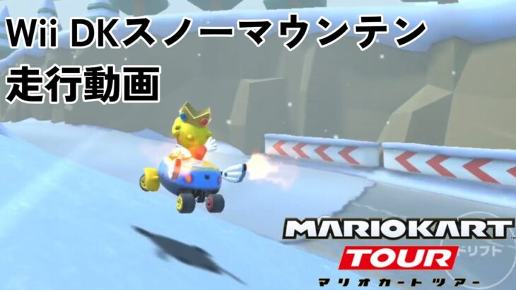 【マリオカート ツアー】Wii DKスノーマウンテン 走行動画