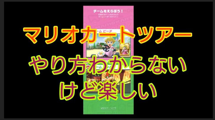 【マリオカートツアー】やり方わからないけど楽しい