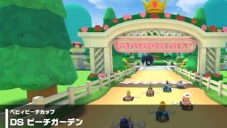 【マリオカートツアー】DS ピーチガーデン 走行映像