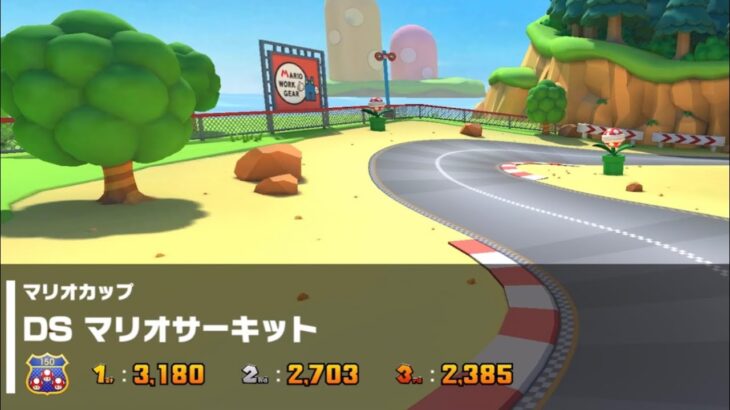 【マリオカートツアー】マリオカップ　DS マリオサーキット 150cc