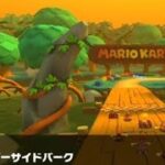 【マリオカートツアー】GBA リバーサイドパーク 走行映像