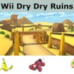 GIANT & SMALL BANANA, AND COIN FRENZIES: Wii Dry Dry Ruins Run | Ninja Tour (2023) | Mario Kart Tour