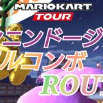 【Mario Kart Tour】ニンニンドージョーフルコンボルート！
