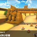 【マリオカートツアー】Wii カラカラいせき 走行映像