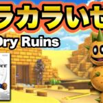 【マリオカートツアー】マリオカートWiiより「カラカラいせき」が登場!! / Mario Kart Tour “Wii Dry Dry Ruins” gameplay