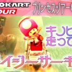 マリオカートツアー Wiiデイジーサーキット 150cc ver.1