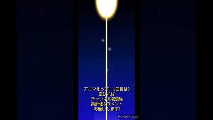 マリオカートツアーデイリーチャレンジドカン　No.73　アニマルツアー3日目