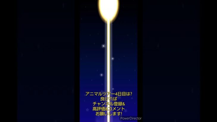 マリオカートツアーデイリーチャレンジドカン　No.74　アニマルツアー4日目
