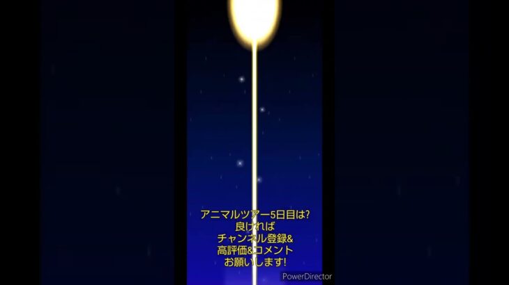 マリオカートツアーデイリーチャレンジドカン　No.75　アニマルツアー5日目