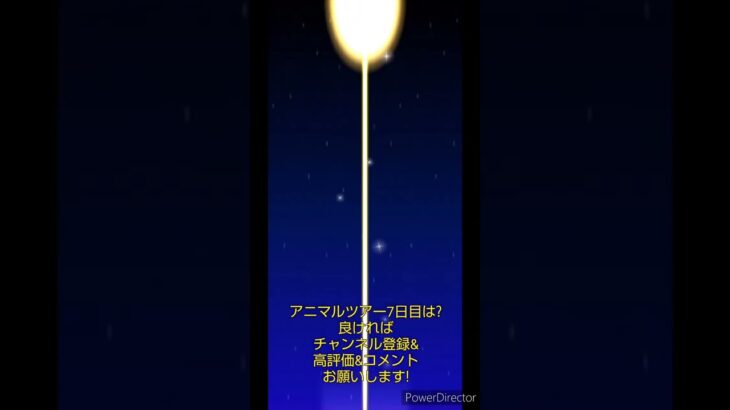 マリオカートツアーデイリーチャレンジドカン　No.77　アニマルツアー7日目