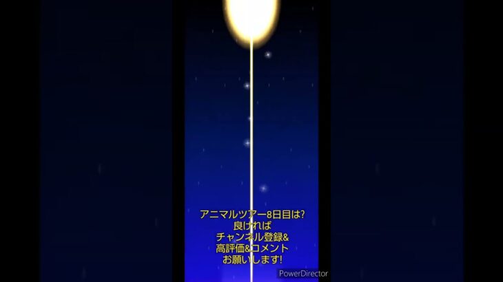 マリオカートツアーデイリーチャレンジドカン　No.78　アニマルツアー8日目