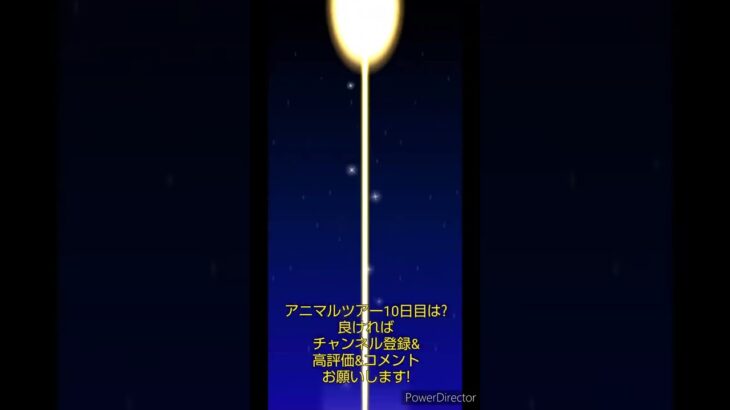 マリオカートツアーデイリーチャレンジドカン　No.80　アニマルツアー10日目