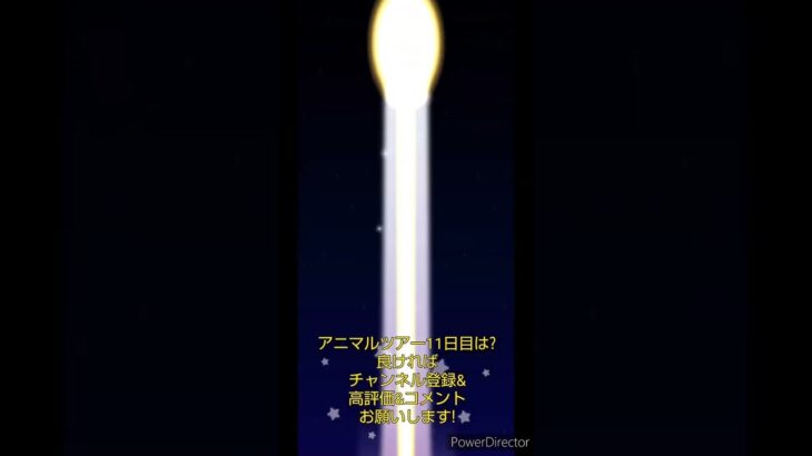マリオカートツアーデイリーチャレンジドカン　No.81　アニマルツアー11日目