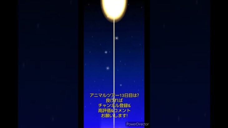 マリオカートツアーデイリーチャレンジドカン　No.83　アニマルツアー13日目