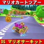 DS『マリオサーキット』走行動画【マリオカートツアー】