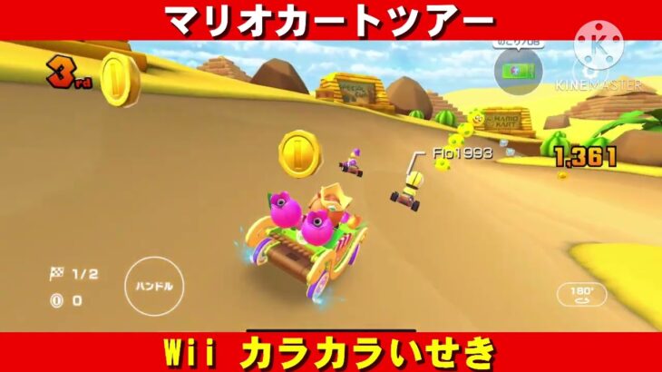 Wii『カラカラいせき』走行動画【マリオカートツアー】