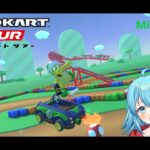 【#マリオカートツアー】Miiツアー9日目　【#Vtuber #新人Vtuber】