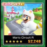 DS Mario Circuit R