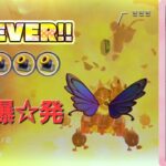 【マリカツ】アイブロカップ 初手ボムキャノンFEVERで全てを「破壊」！