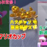 【マリオカートツアー】ルイージチームのキャラだけでリーグ戦厳選してみた【マリオVSルイージツアー４前半戦-N64マリオサーキット・DSマリオサーキットX・N64マリオサーキットRX】