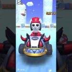 マリオカートツアー　スマホ版　アイスツアー