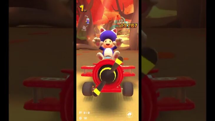 マリオカートツアー実況　オータムツアー2