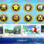 マリオカート8デラックス　1模擬だけ tier-ef