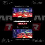 マリオカートツアー　Wii キノコキャニオン　比較　Mario Kart Tour Wii Mushroom Gorge Comparison