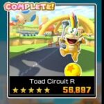 3DS Toad Circuit R