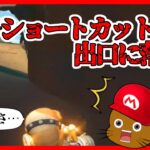 【オンライン対戦】せっかくのショートカットをつぶさないでください【マリオカートツアー】