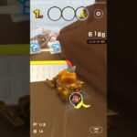 気ままにレース　#マリオカートツアー ,#nintendo ,#mariokarttourandroid   ,#N64 chocolate MountainX