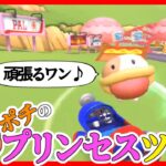 【オンライン対戦】プリンセスツアーでもポチで走ります!!【マリオカートツアー】