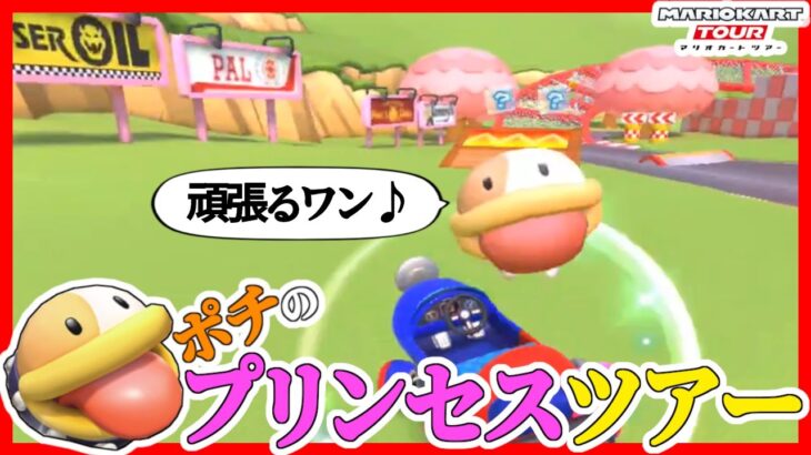 【オンライン対戦】プリンセスツアーでもポチで走ります!!【マリオカートツアー】
