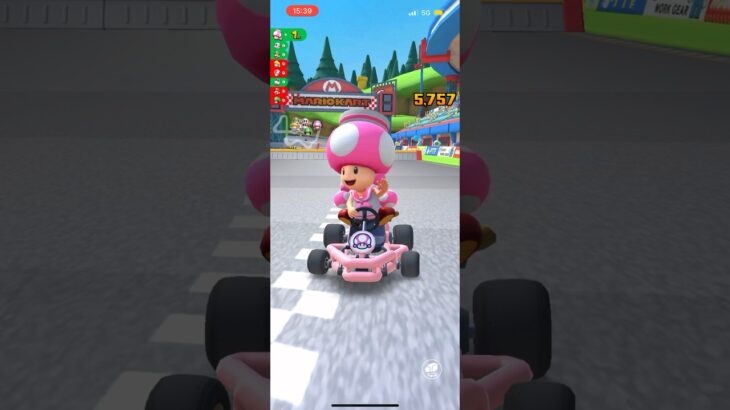 #196 マリオカートツアーをプレイ『DS マリオサーキット』