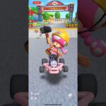#227 マリオカートツアーをプレイ『DS マリオサーキット』