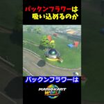パックンフラーは吸い込めるのか!? #マリオカートワールド #UFO